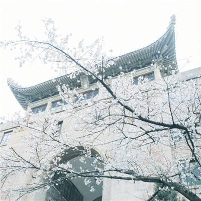 北京北京博物馆月5月18日启动，三星堆等近千场展览将亮相